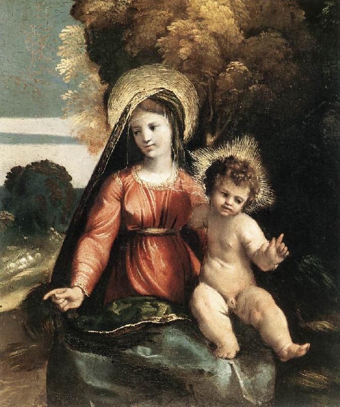 DOSSI, Dosso Madonna and Child ddfhf oil painting picture